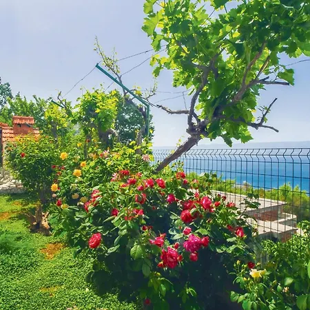 In With House Sea View Apartment Omis